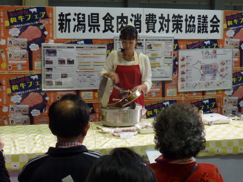 o0480036012732900623